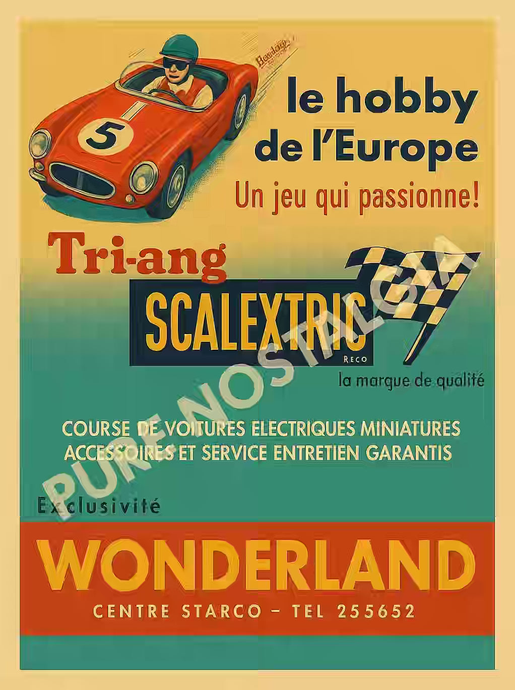 WONDERLAND
